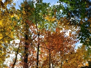 Algoma Wisconsin In Fall