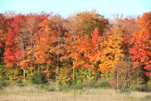 Algoma Wisconsin In Fall