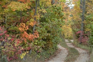 Algoma Wisconsin In Fall