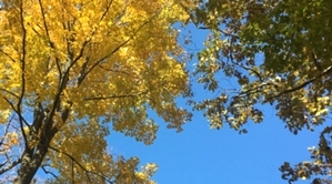 Algoma, Wisconsin Fall Vacation