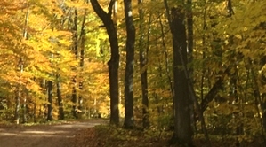 Algom Wisconsin - Fall Vacation