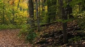 Algoma Wiisconsin In Fall