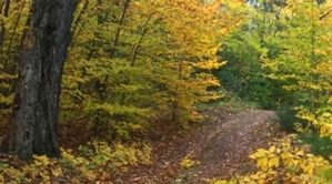 Algoma Wiisconsin In Fall