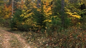 Algoma Wiisconsin In Fall