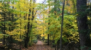 Algoma Wiisconsin In Fall