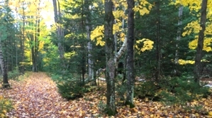 Algoma Wiisconsin In Fall