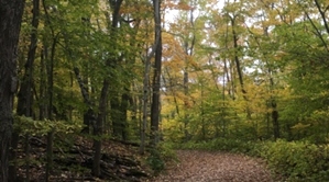 Algoma Wiisconsin In Fall