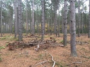 Hiking North of Algoma