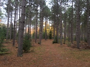 Hiking North of Algoma